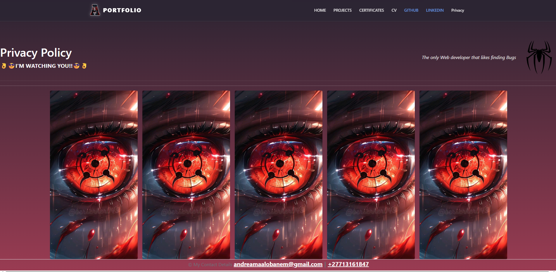 Portfolio site – contact